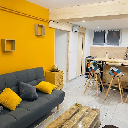 Studio 40M2 Plein Pied Avec Parking Jussac Exterior foto
